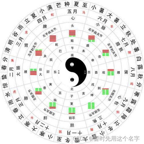 天干地支表查詢|今天农历干支查询，天干地支年月在线查询，今日天干地支是什么